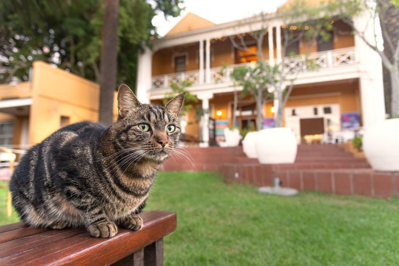 Ashanti Lodge Backpackers Cape Town Exterior photo